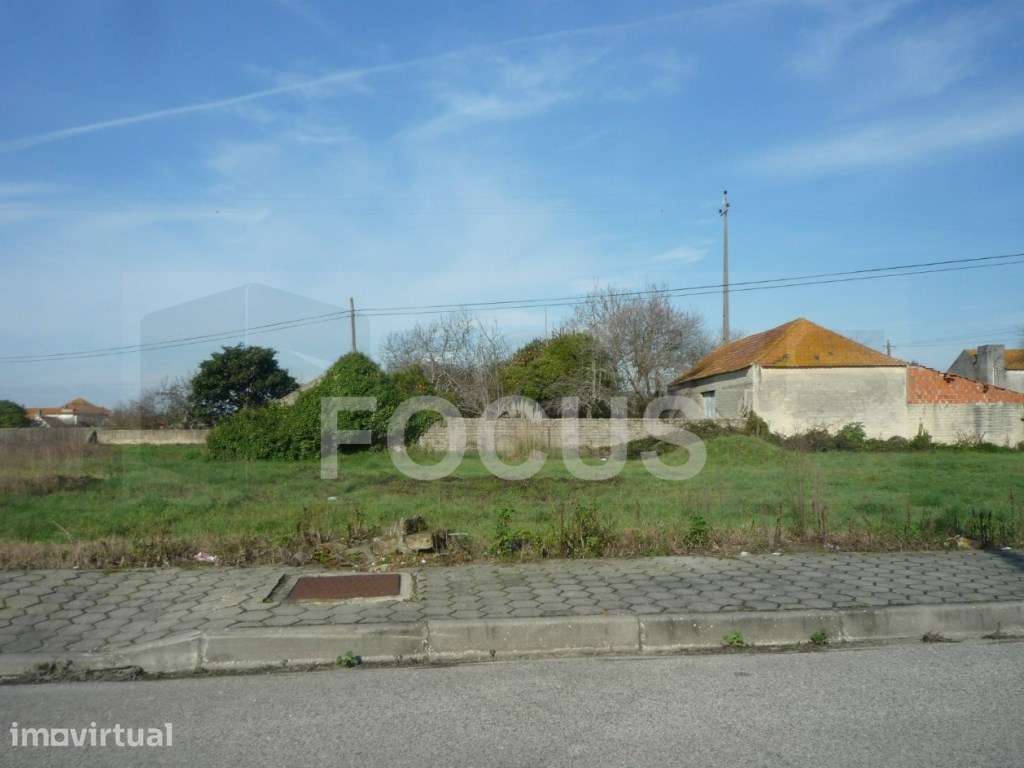 Lote para construção - Aradas - Grande imagem: 2/2