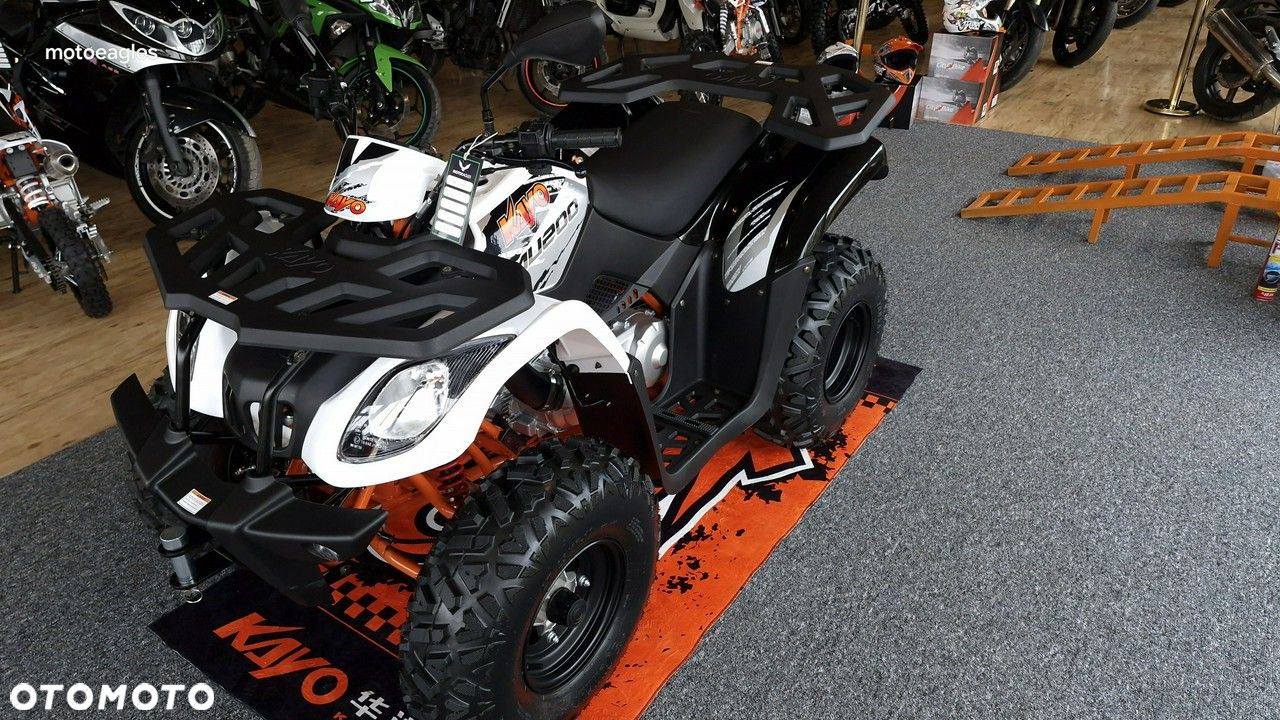 KAYO AU - 17