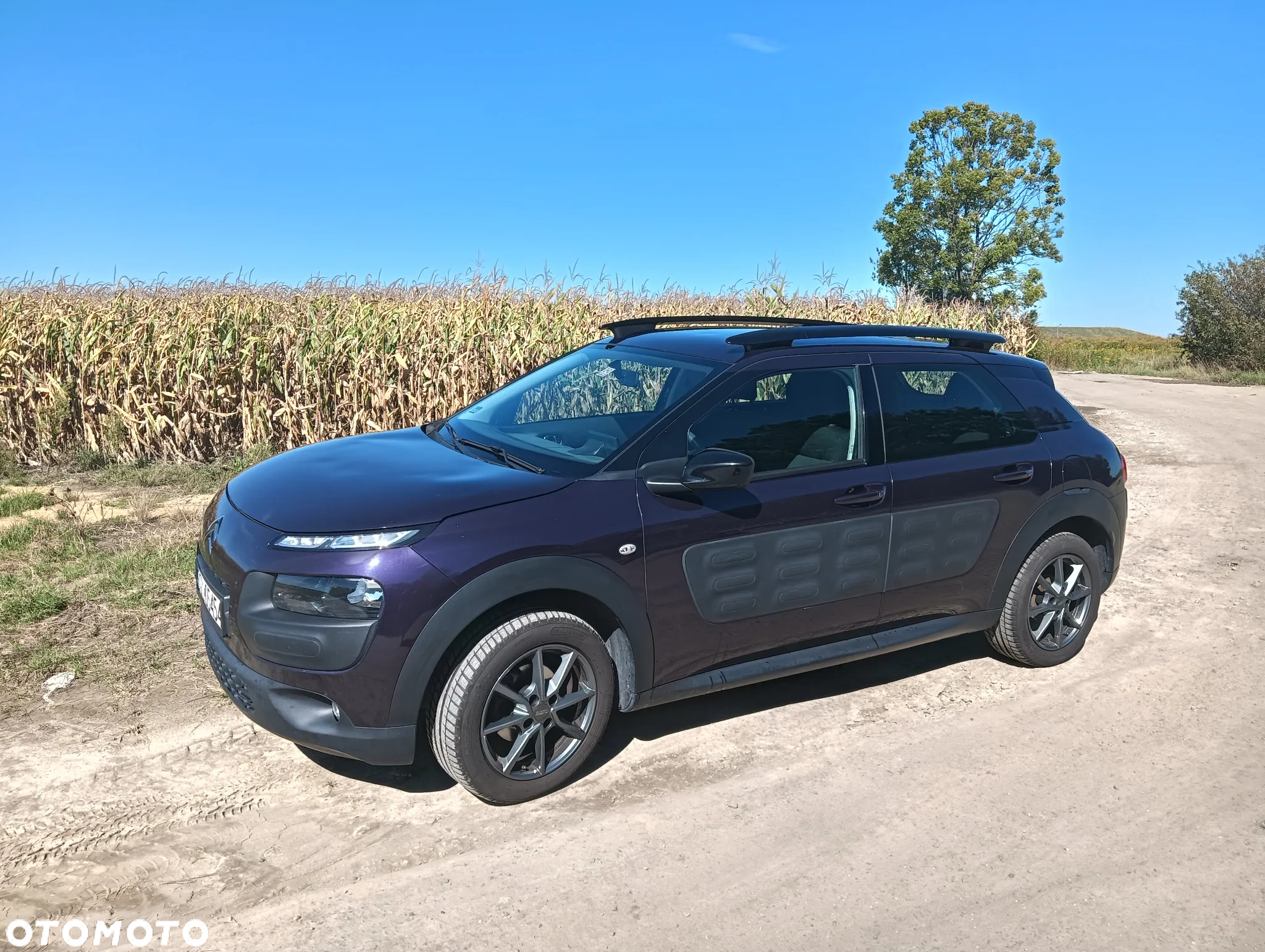 Citroën C4 Cactus 1.6 BlueHDi Feel - 2