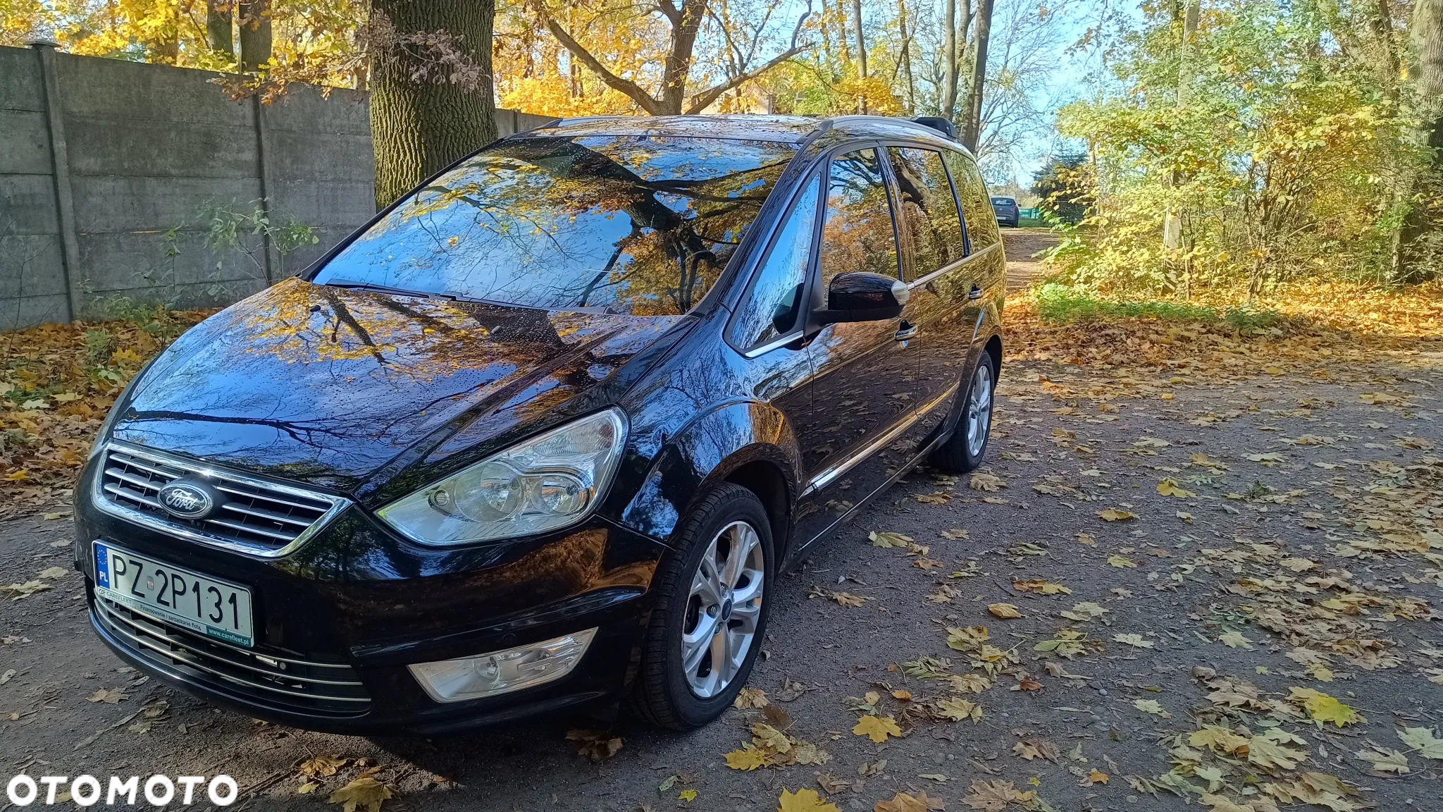 Ford Galaxy 2.0 TDCi Ghia - 9