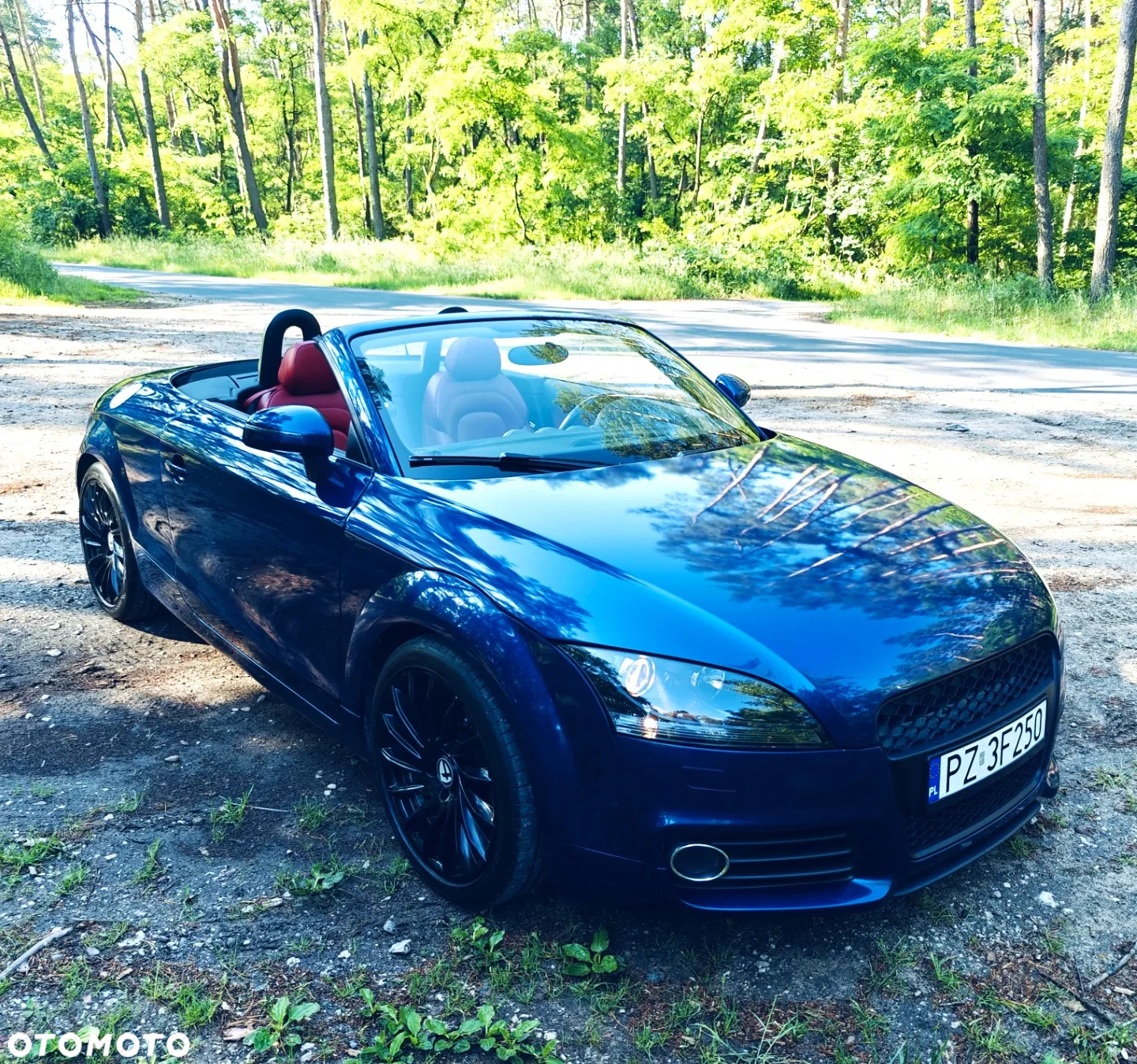 Audi TT Coupé Roadster 1.8 TFSI - 5