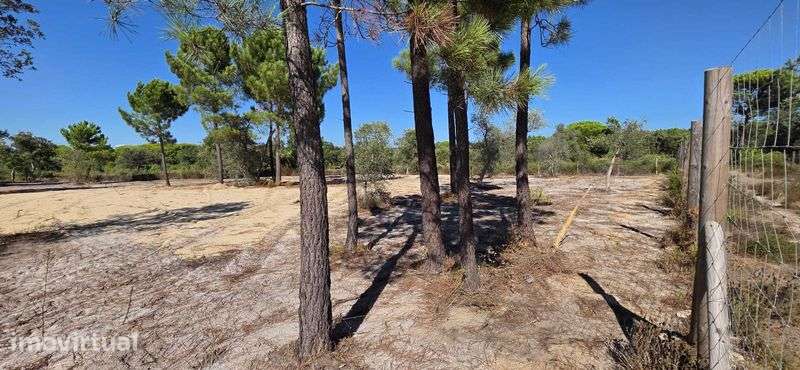Terreno em MELIDES  900m2 - Grande imagem: 4/4