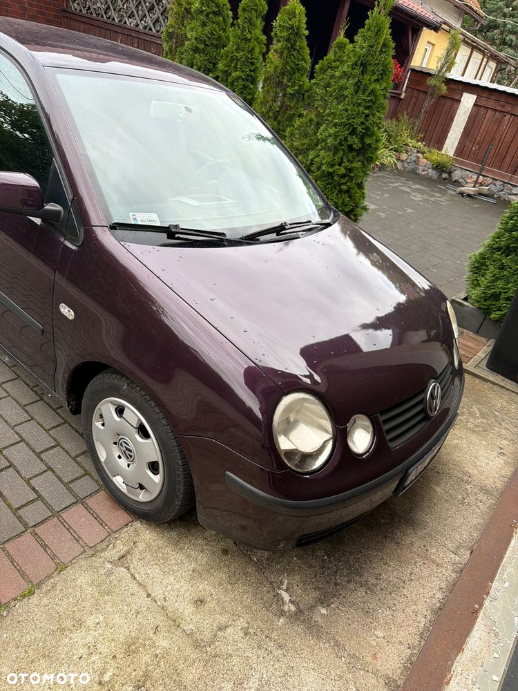 Volkswagen Polo - 1