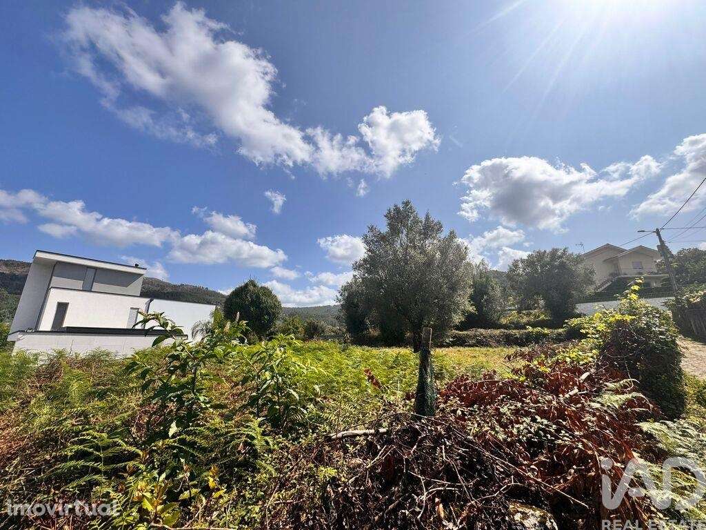 Terreno em Geraz Do Lima (Santa Maria, Santa Leocádia E Moreira) E Deã - Grande imagem: 4/6