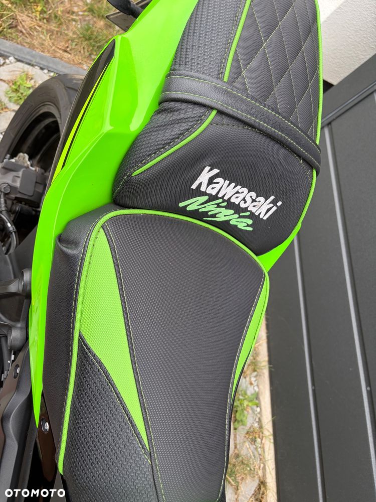 Kawasaki Ninja - 9
