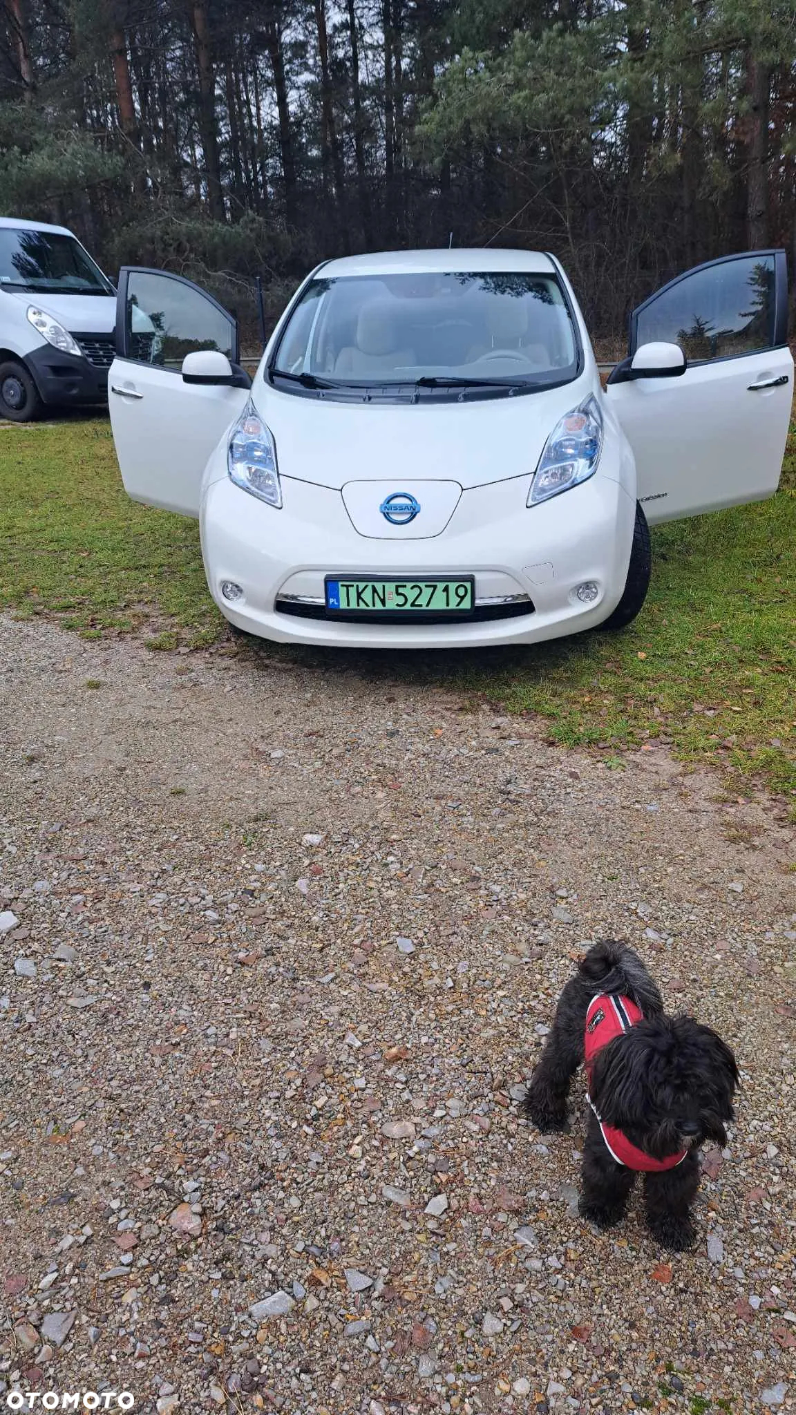 Nissan Leaf 24 kWh (mit Batterie) Acenta - 7