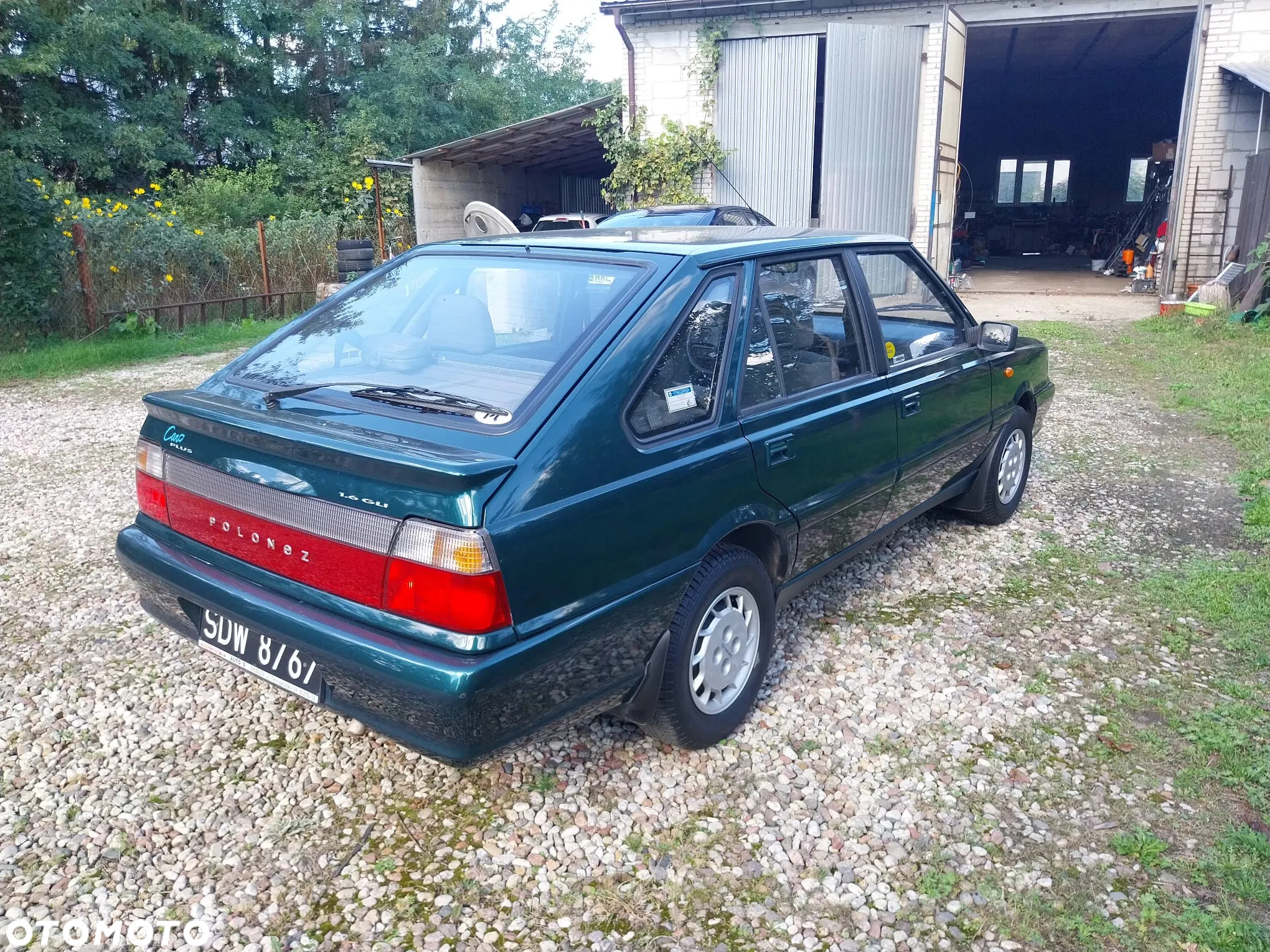 Polonez Caro - 3