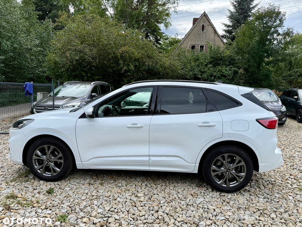 Ford Kuga 2.0 EcoBlue Hybrid ST-LINE X - 8