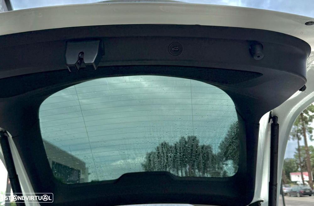 Tesla Model Y Performance Dual Motor AWD - 10