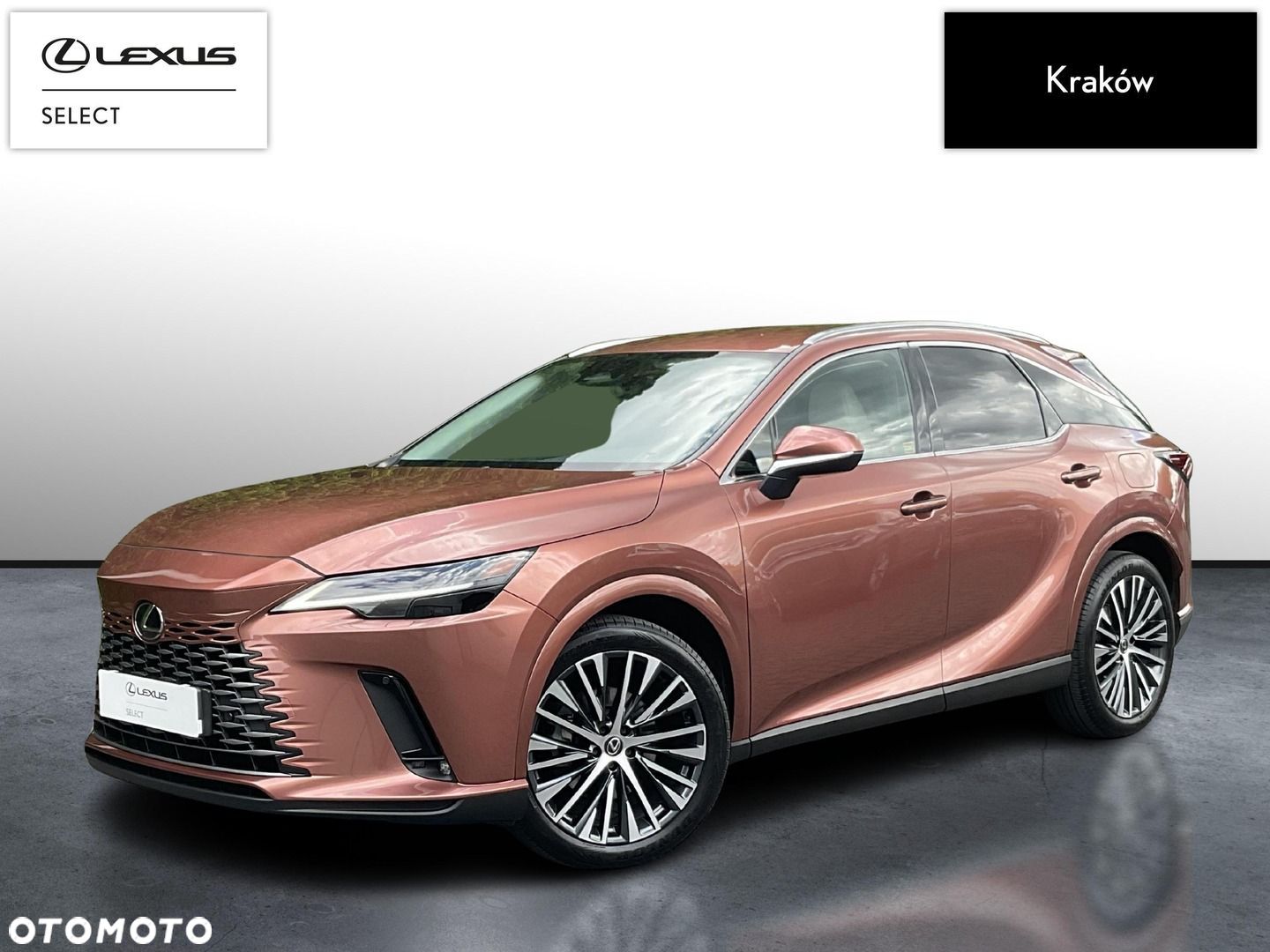 Lexus RX - 1