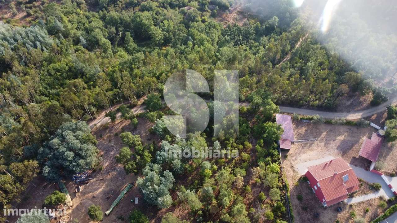 3 TERRENOS RUSTICOS COM 6500 M2 - Grande imagem: 4/12