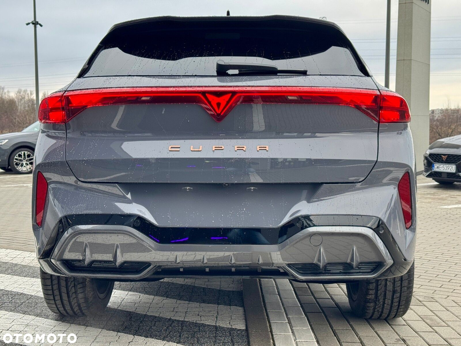 Cupra Terramar - 10