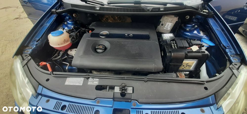 Volkswagen Polo - 40
