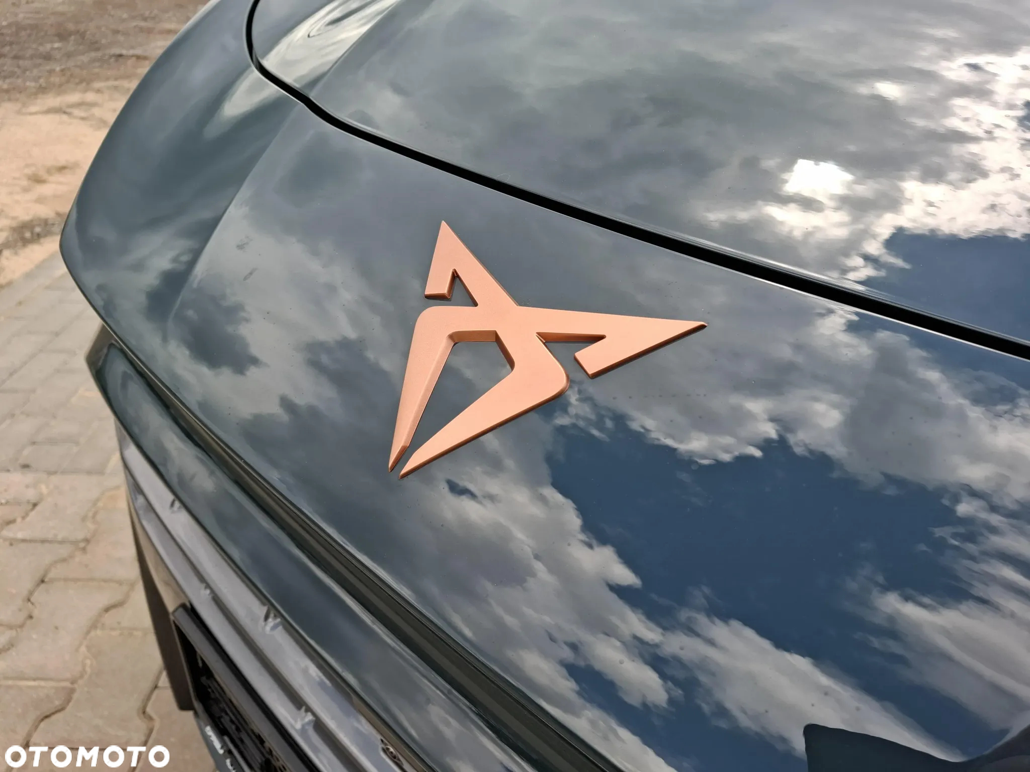 Cupra Terramar 1.5 eTSI mHEV DSG - 15
