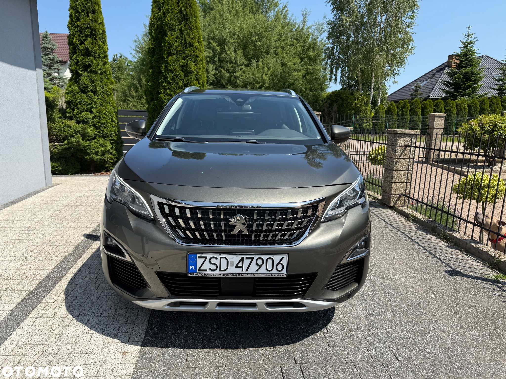Peugeot 3008 1.5 BlueHDi Allure Pack S&S EAT8 - 16