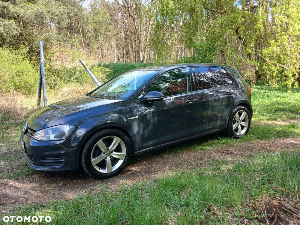 Volkswagen Golf - 8