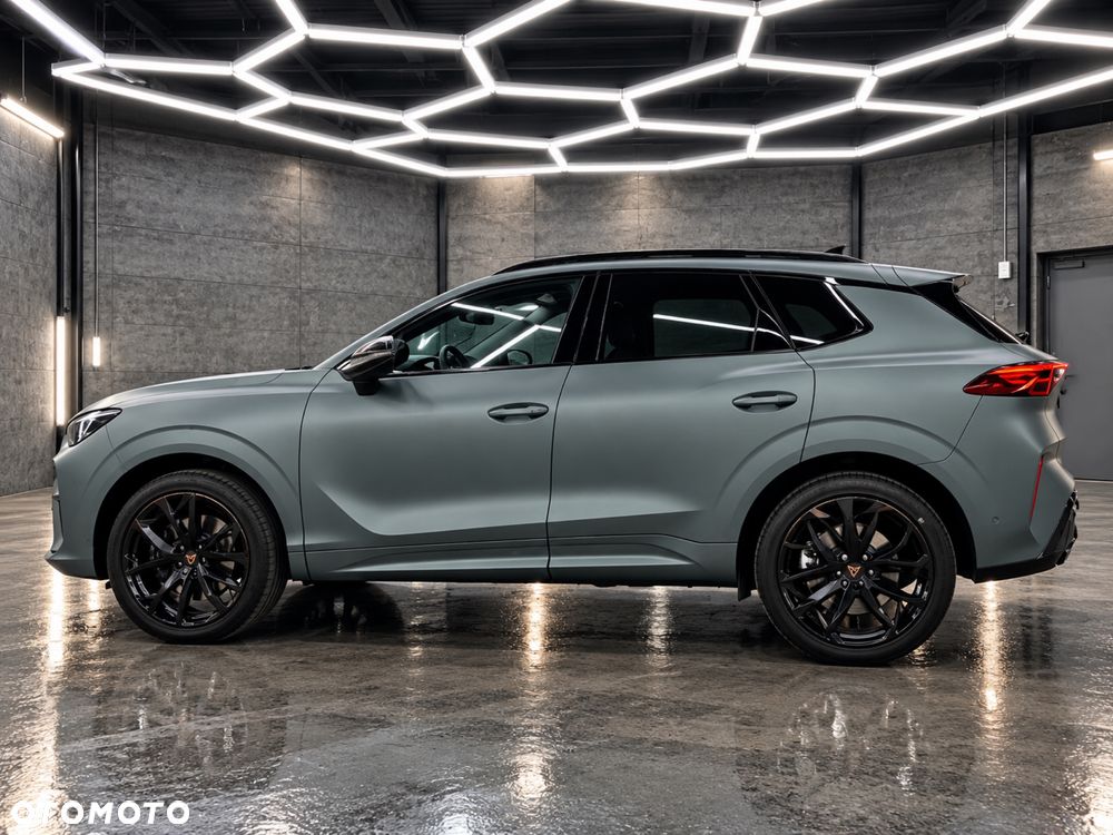 Cupra Terramar - 3