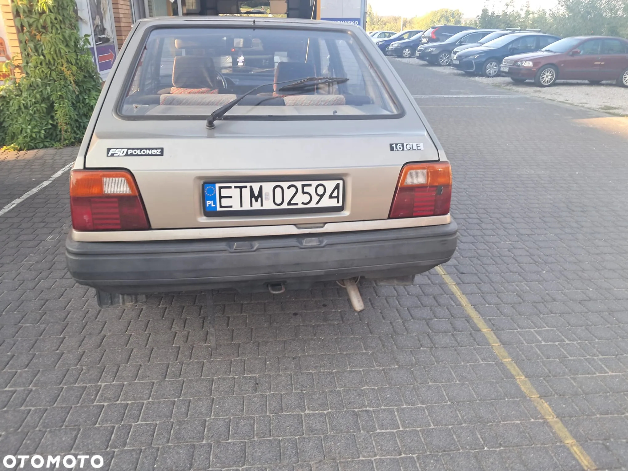 Polonez Caro - 13