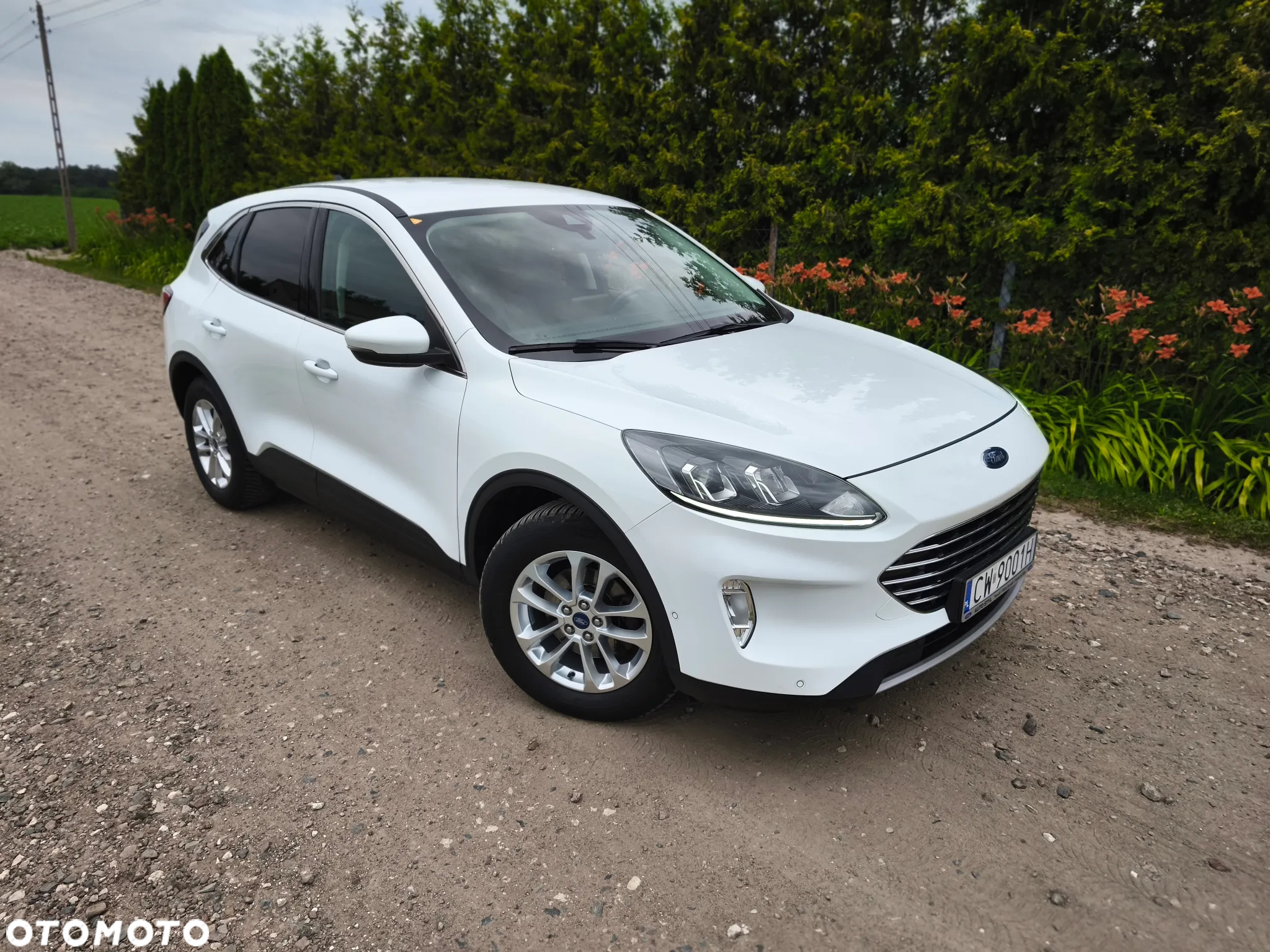 Ford Kuga - 9