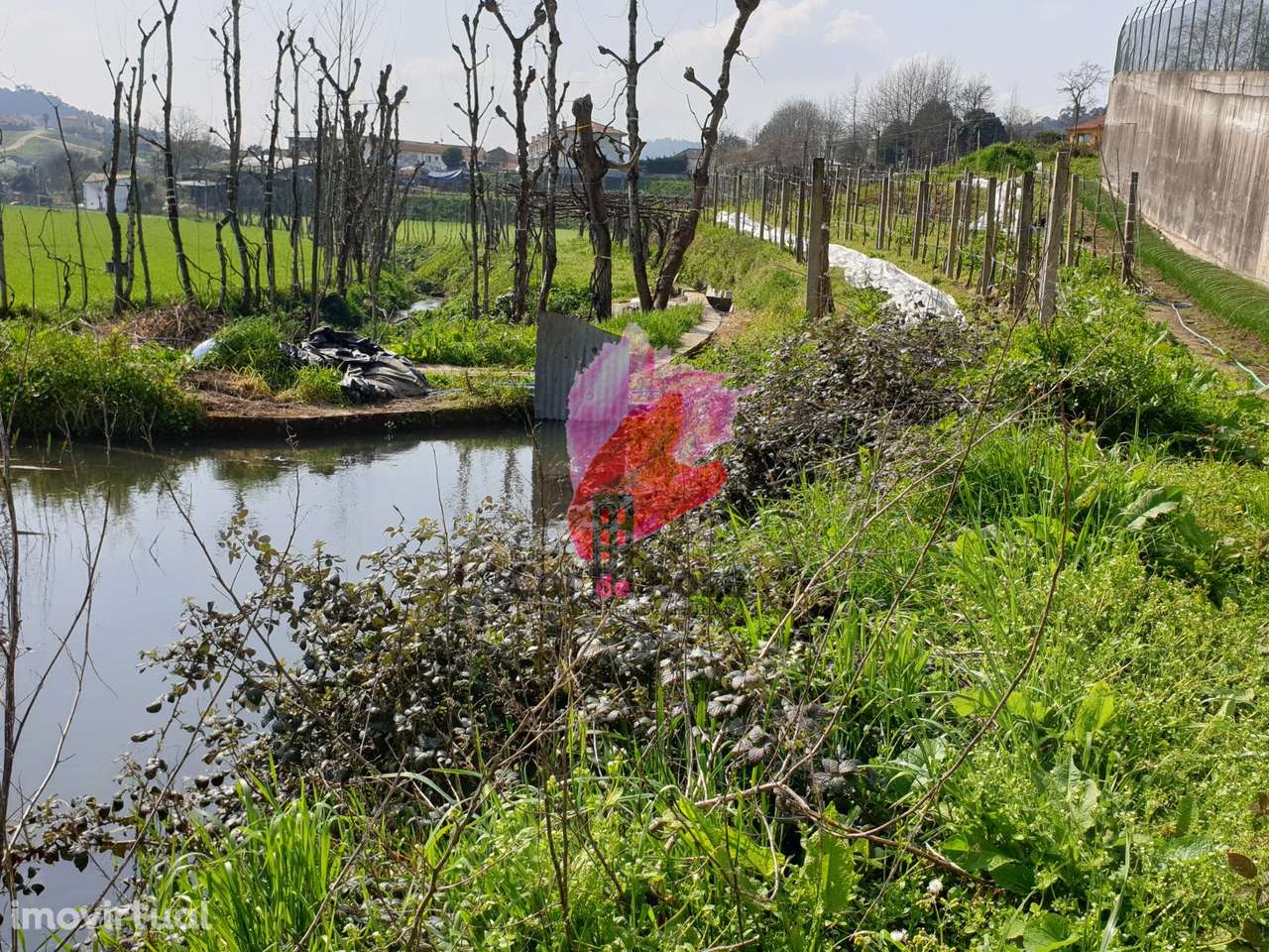 Quinta em Polvoreira  com 57.000m2 – Guimarães - Grande imagem: 4/13