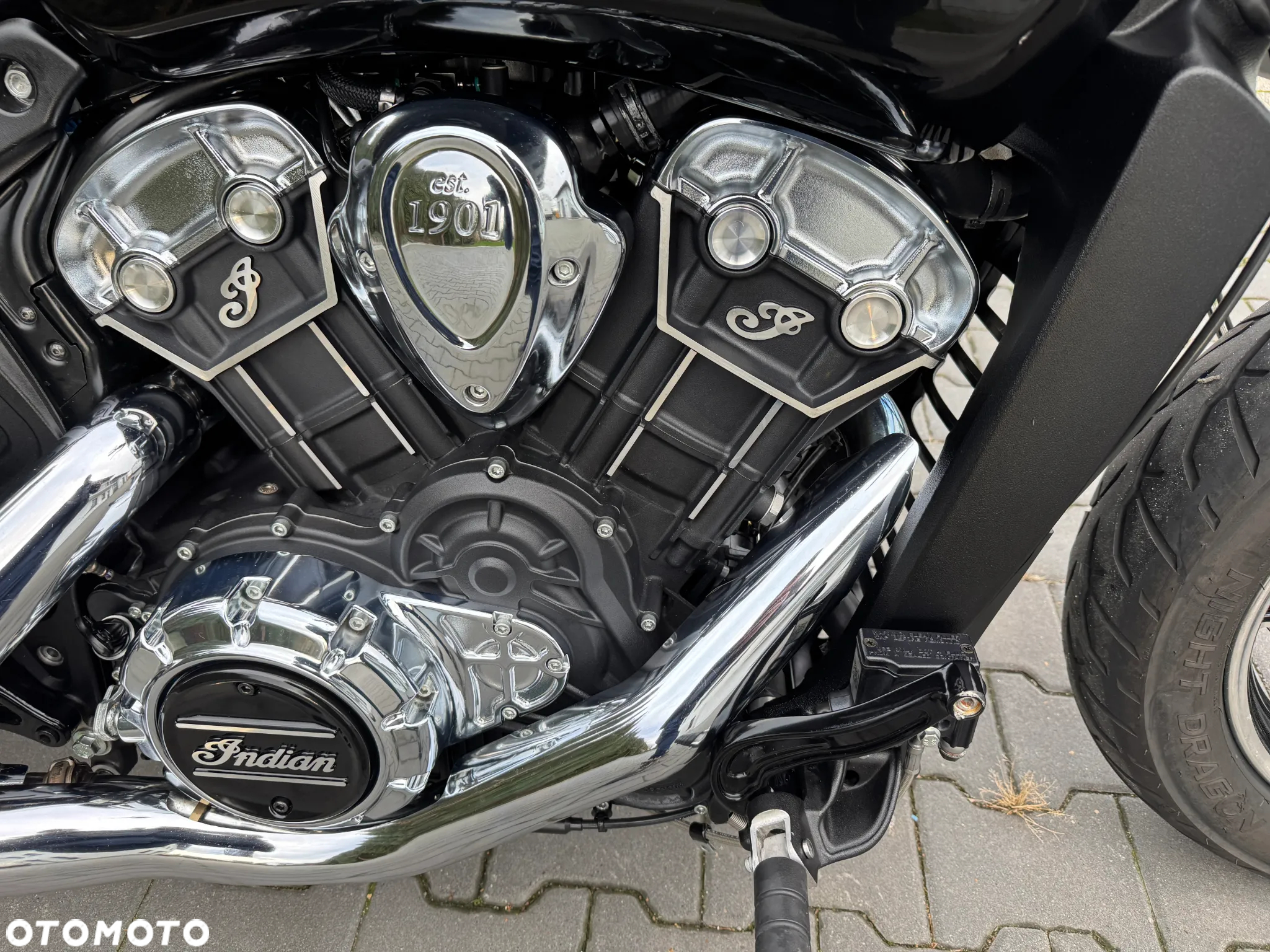 Indian Scout - 17