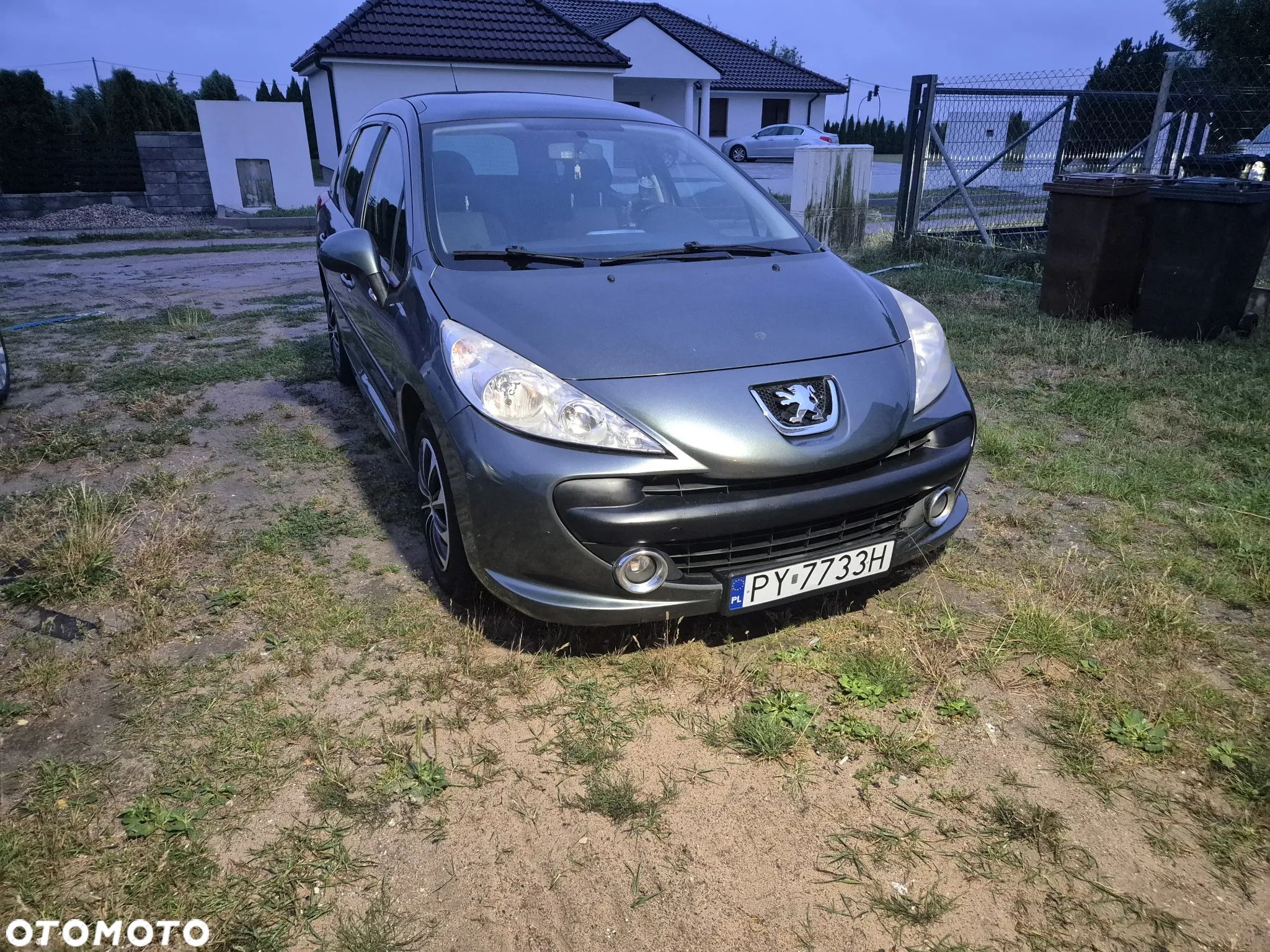 Peugeot 207 - 1