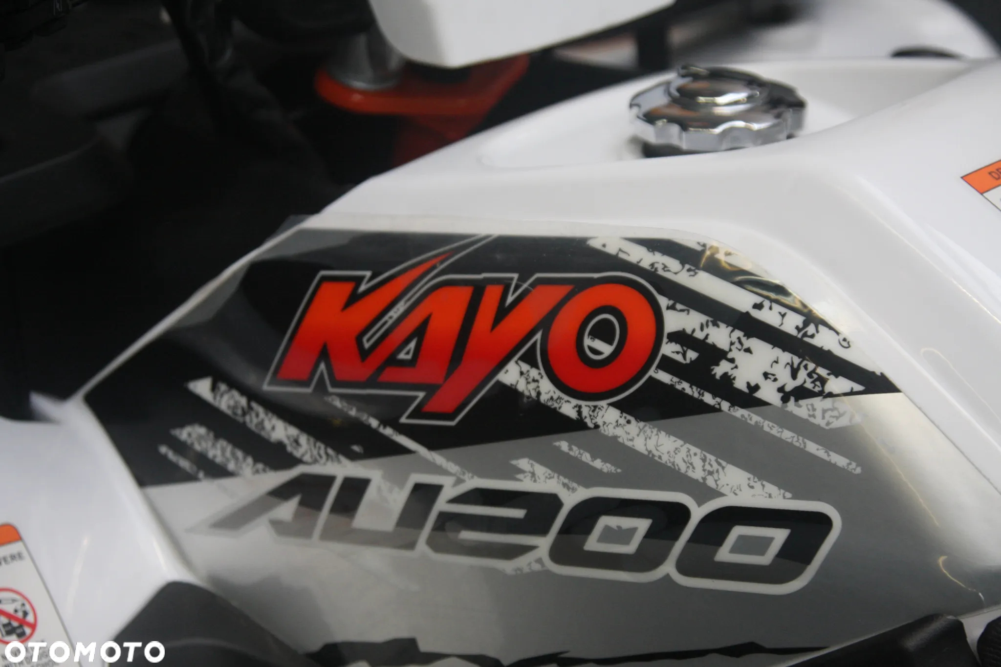 KAYO AU - 8