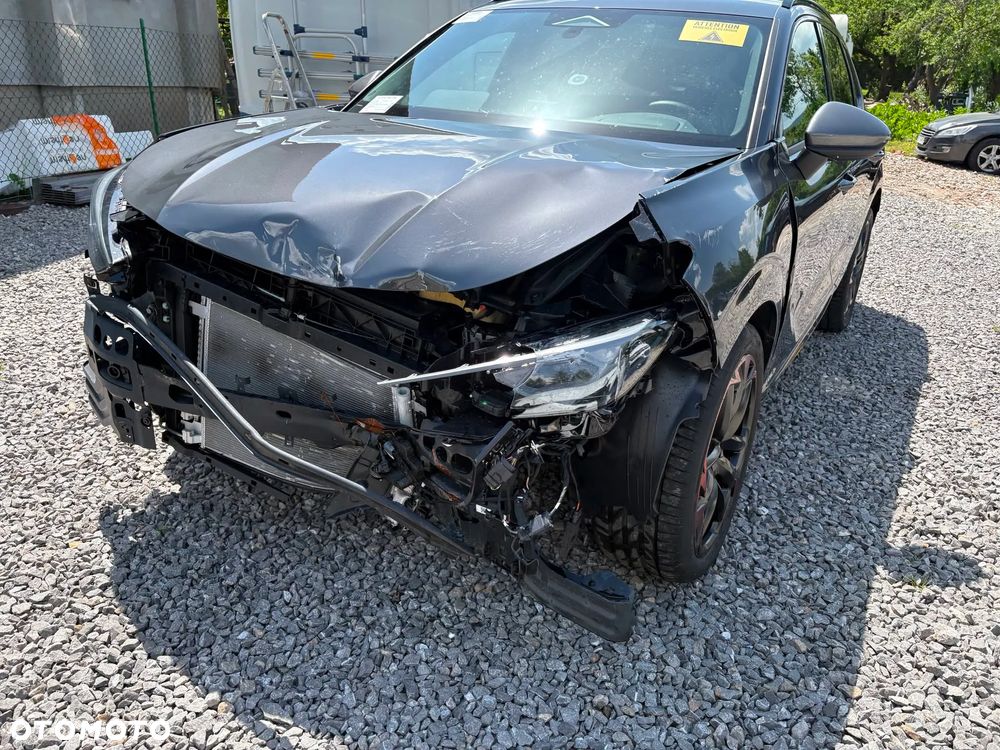 Cupra Terramar 1.5 eTSI DSG Tribe Edition - 22