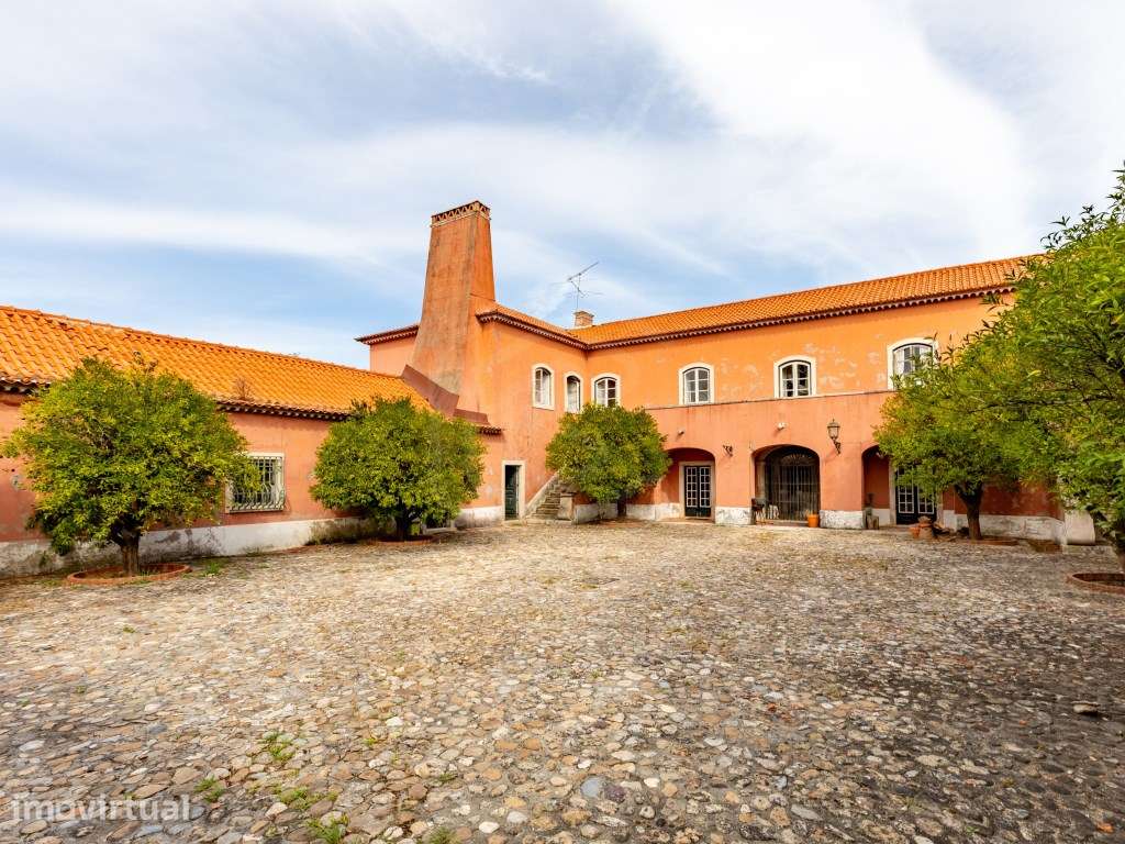 Quinta, Região Centro, Pombal - Grande imagem: 3/60