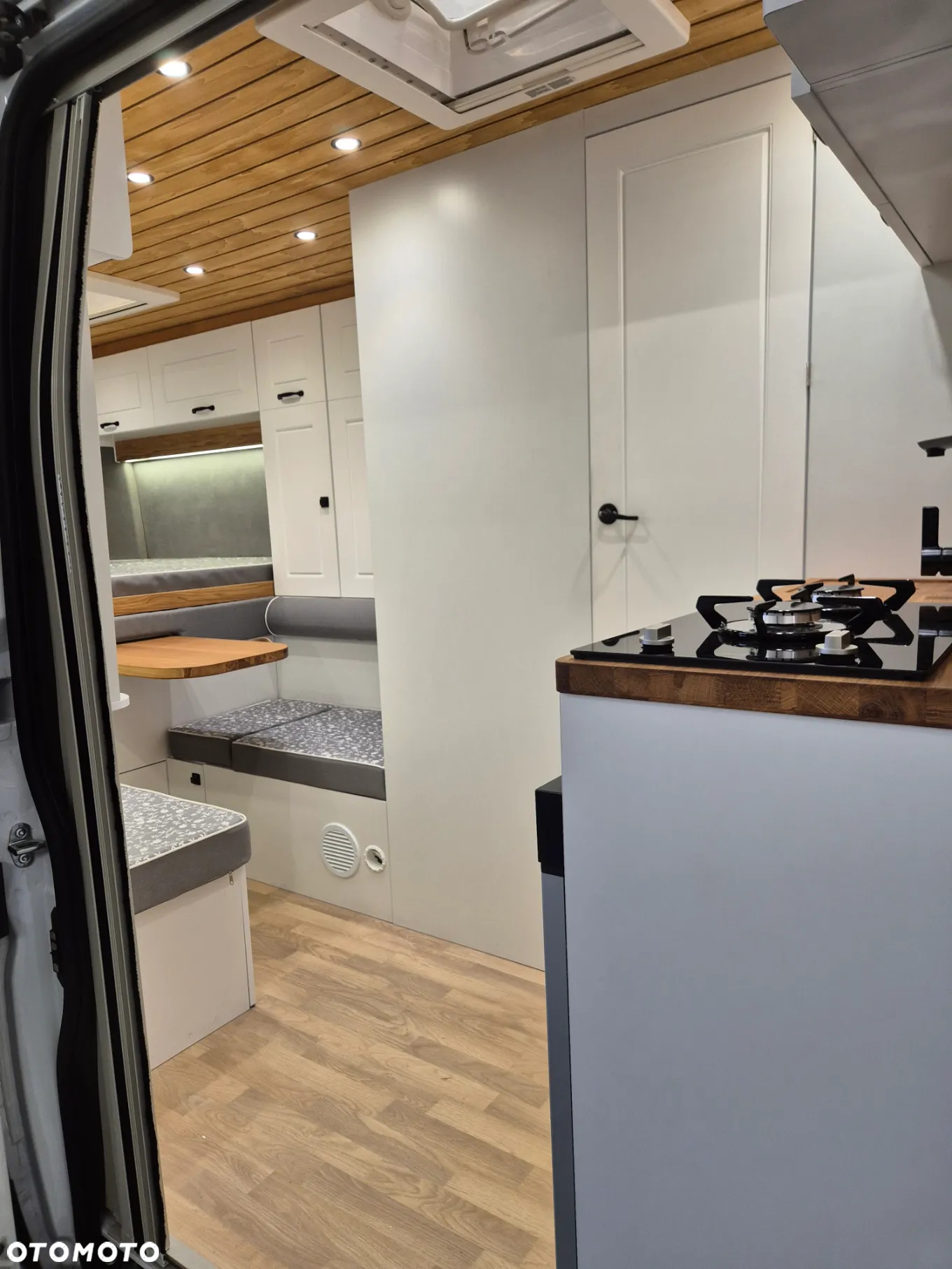 Affinity Freedo 636 - 12