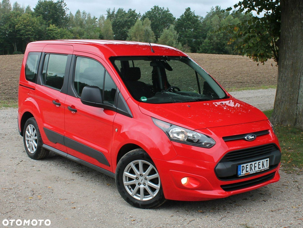 Ford Tourneo Connect - 1