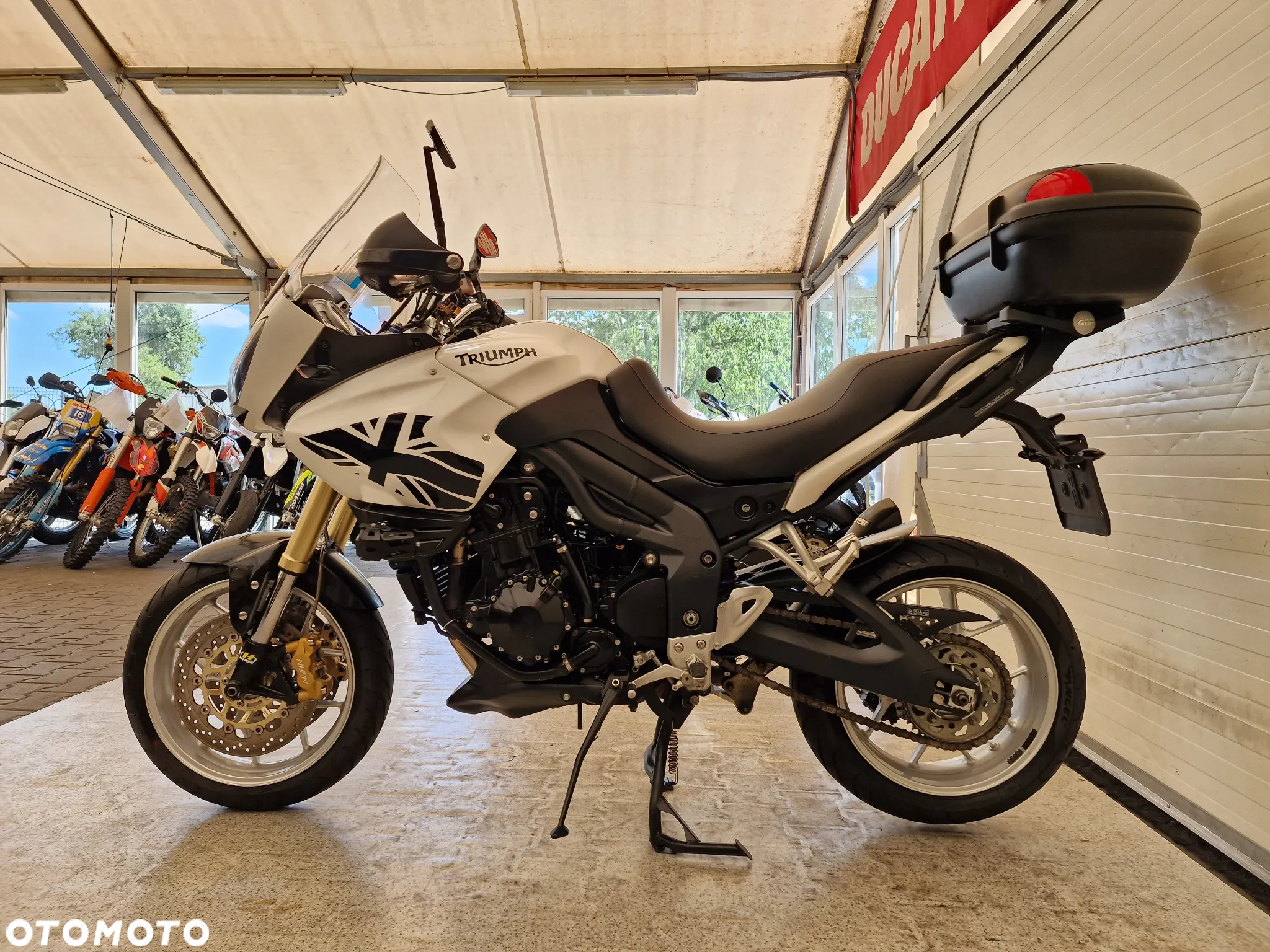 Triumph Tiger - 19