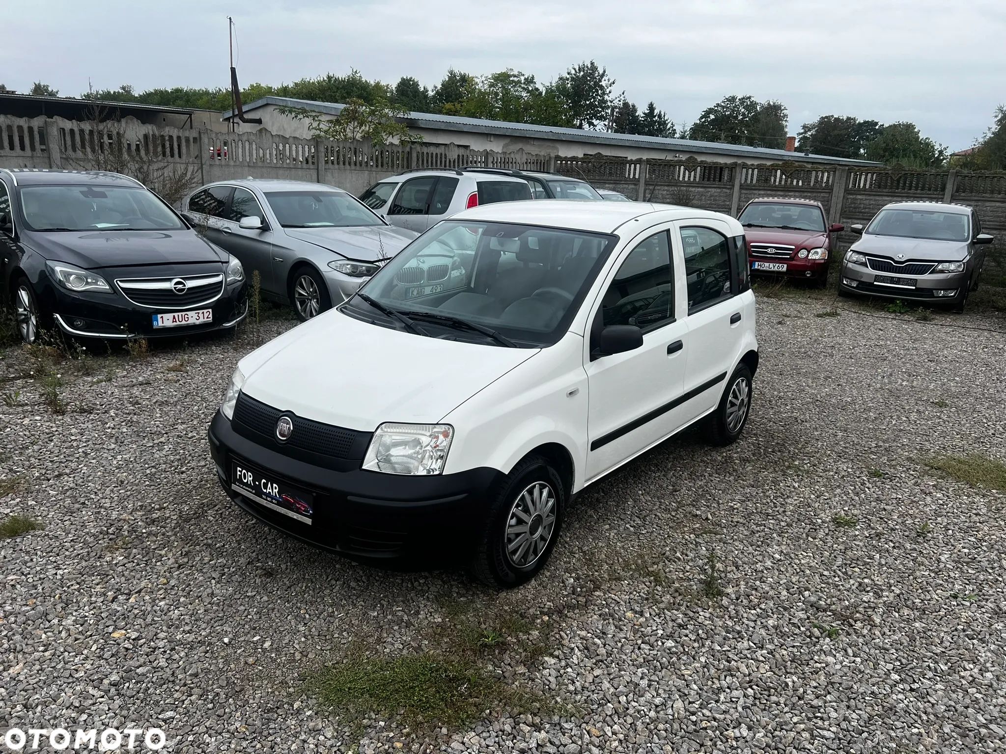 Fiat Panda 1.1 Active - 1