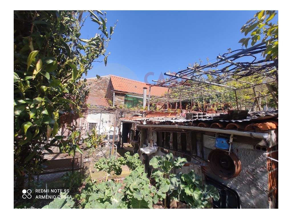 Quintinha com moradia em xisto! Casarias/Arganil. - Grande imagem: 3/22