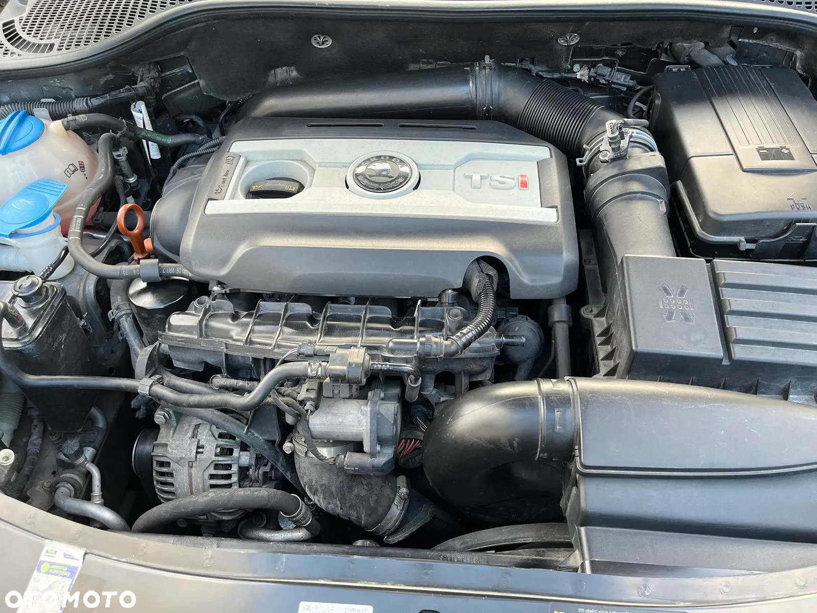 Skoda Octavia 1.8 TSI Ambition - 6