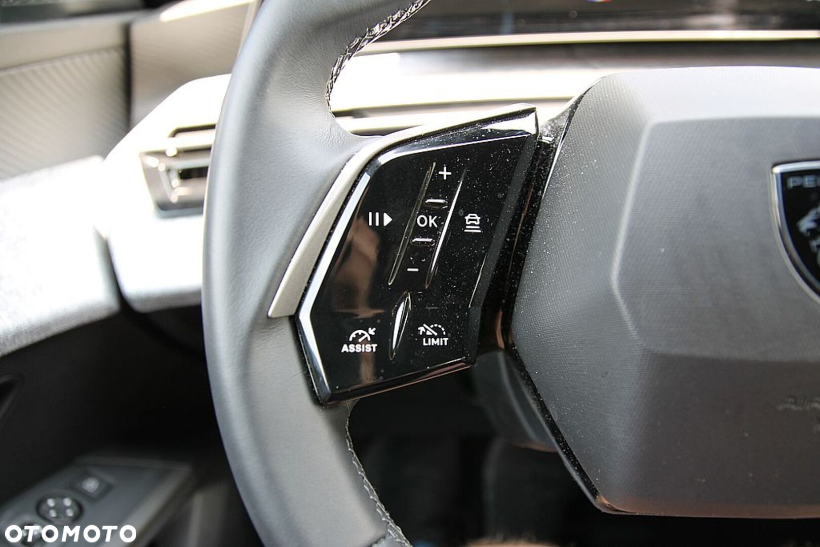 Peugeot 3008 - 33