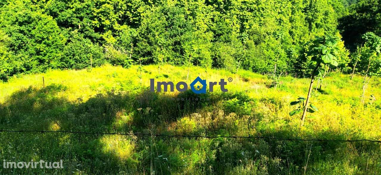 Terreno com nascente de Água! - Grande imagem: 2/21