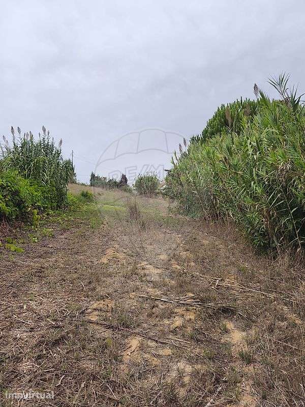 Terreno  para venda - Grande imagem: 4/21