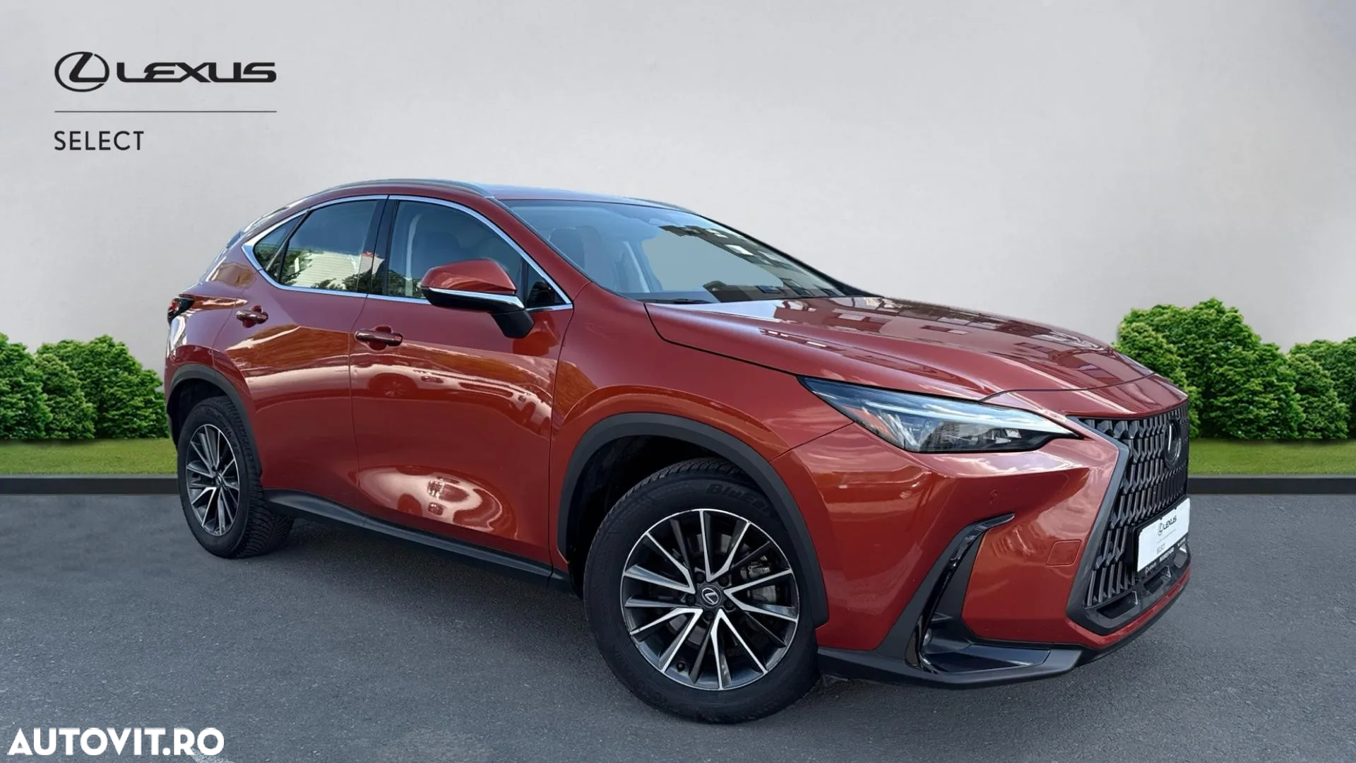 Lexus Seria NX 350h AWD CVT HEV Business - 27