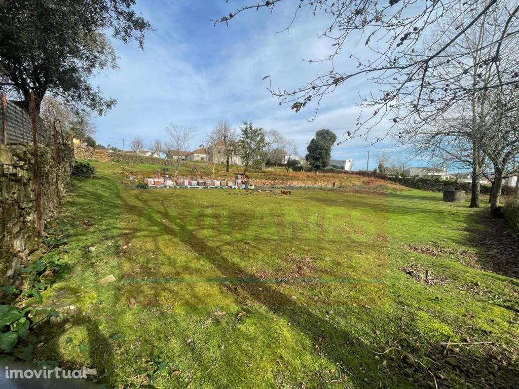 QUINTA - GIÃO - Grande imagem: 4/35