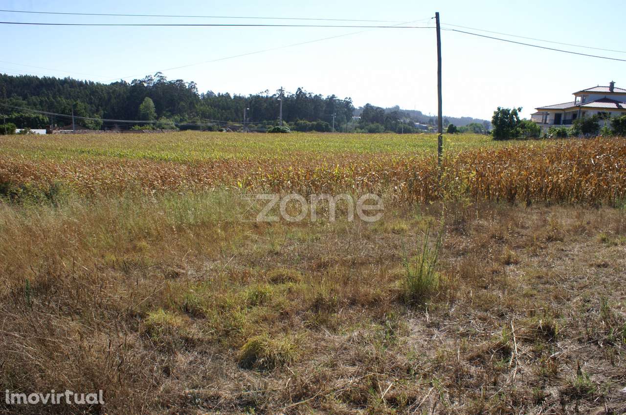 Terreno Urbanizável | Águeda - Grande imagem: 5/16