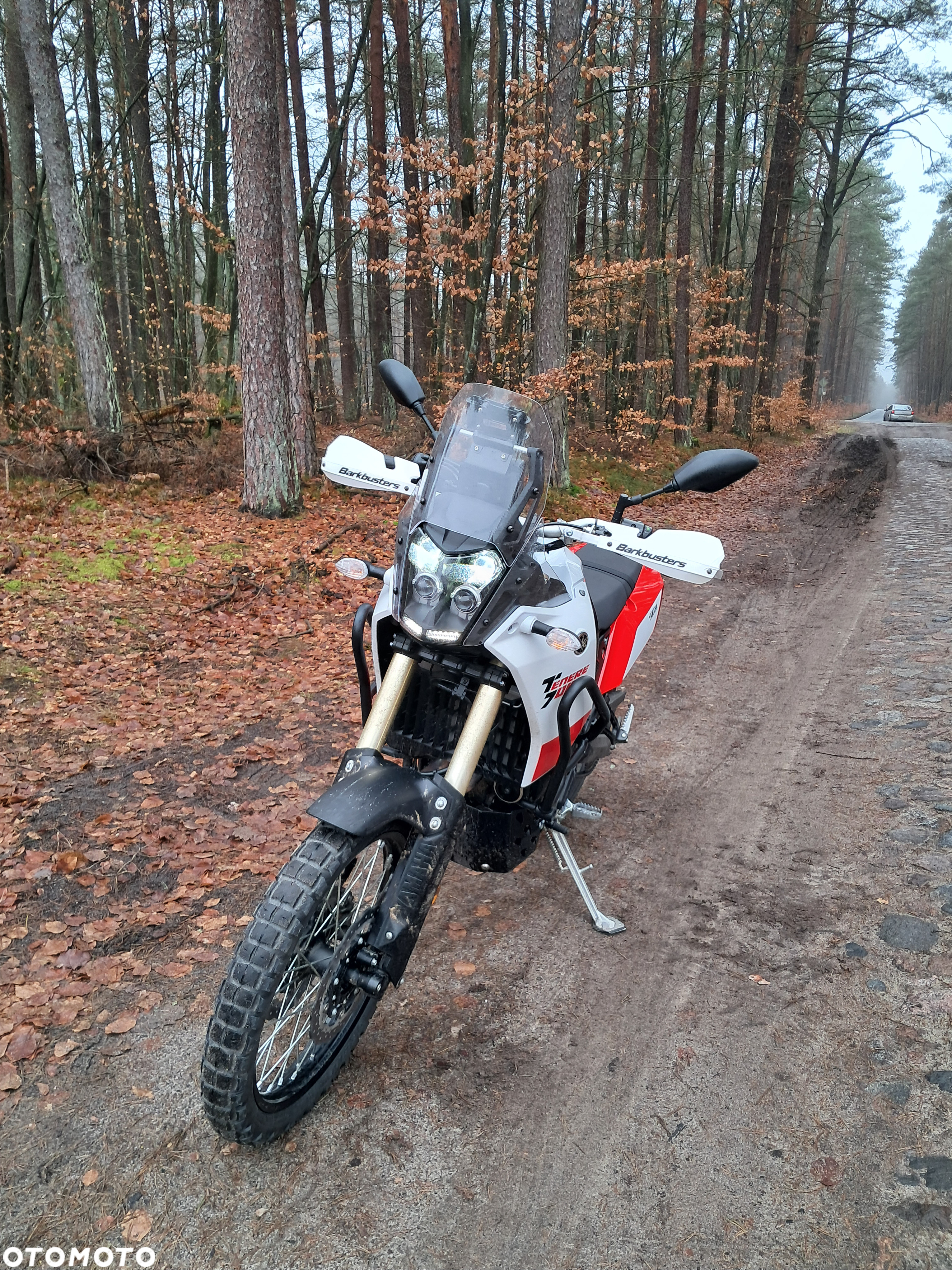 Yamaha Tenere - 9