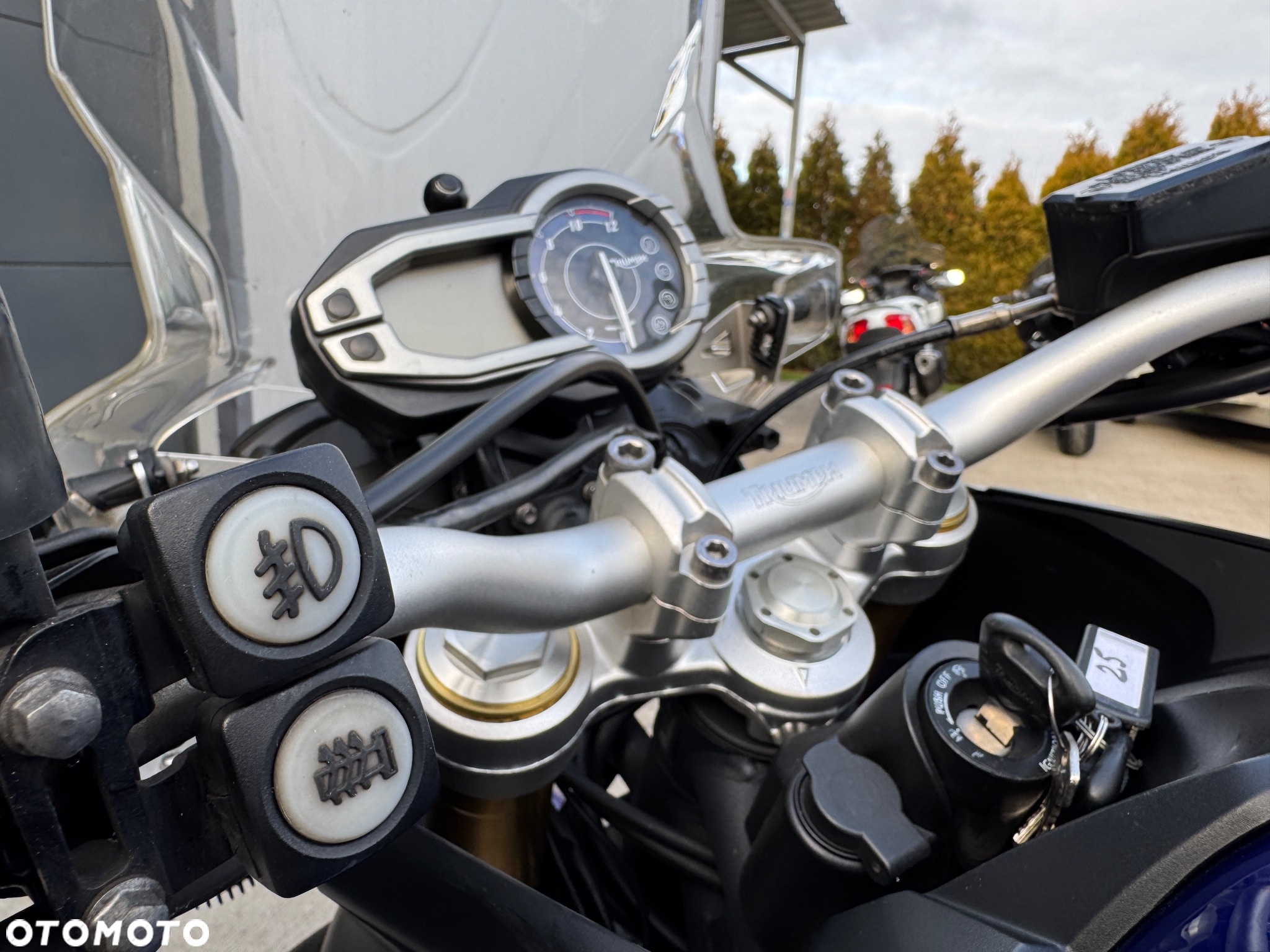 Triumph Tiger - 21