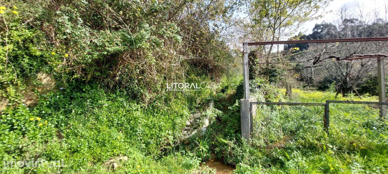 Terreno com ruína | Paradela - Grande imagem: 3/21