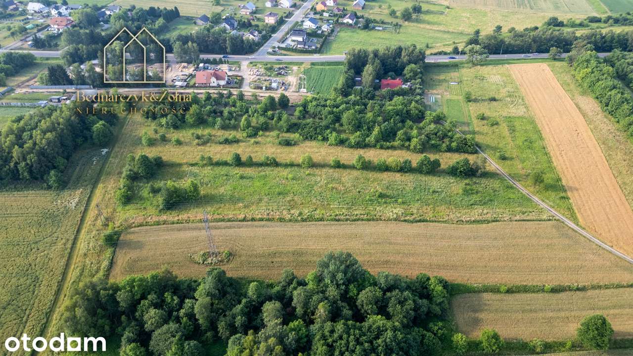 Działki budowlane z warunkami zabudowy w Warzycach - Spokojna okolica - Pełny obrazek: 4/9