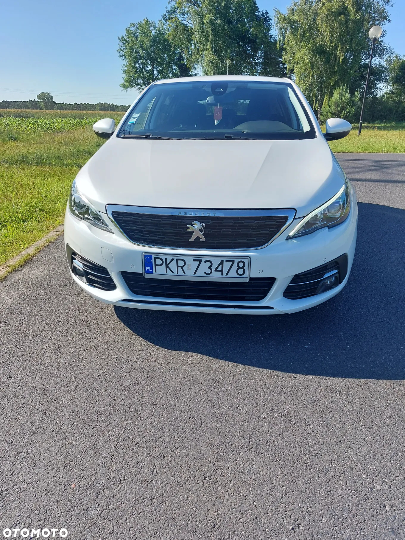 Peugeot 308 1.5 BlueHDi Active Pack Business S&S - 3