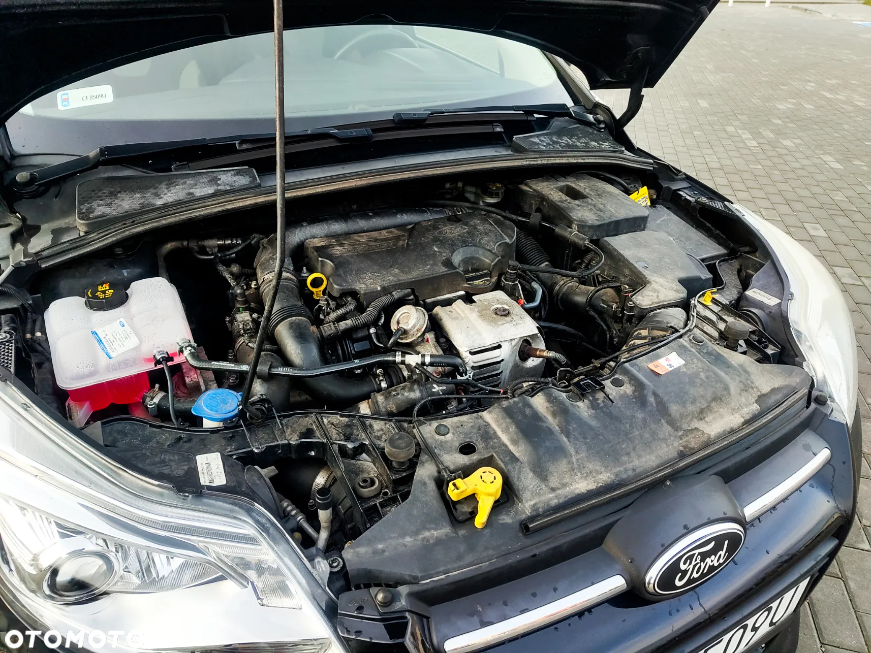 Ford Focus - 14