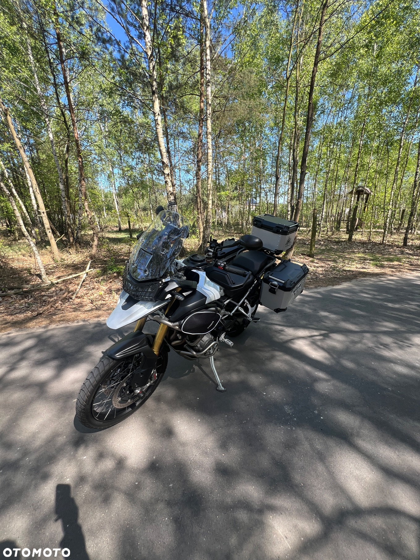 Triumph Tiger - 18