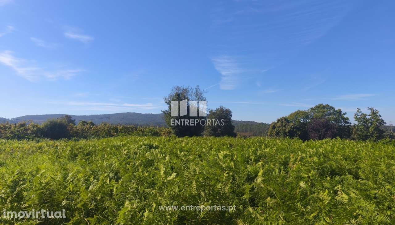 Venda de Terreno para construção, Deocriste, Viana do Castelo - Grande imagem: 3/26