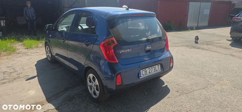 Kia Picanto 1.0 L - 3
